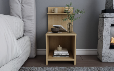 Noptiera Olman Noptiera